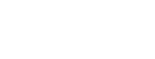 salvus logo
